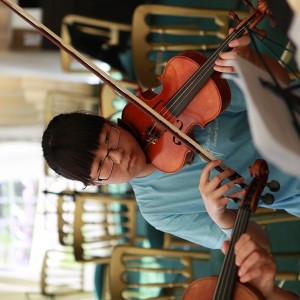 IMG 7009